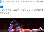 开云体育官网-樊振东确认德甲首秀时间，球迷期待所向披靡的表现