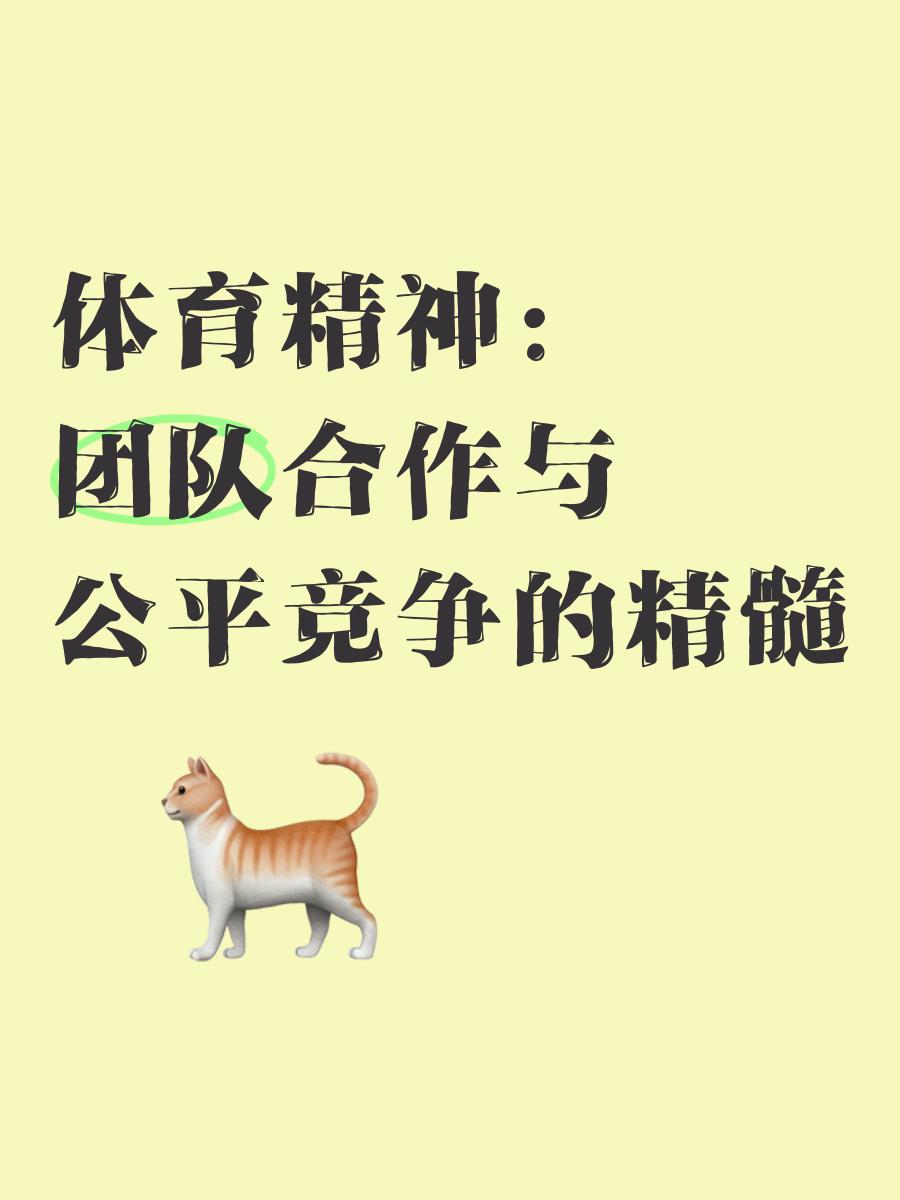 球队合作默契，让胜利变得更加轻松(球队配合)